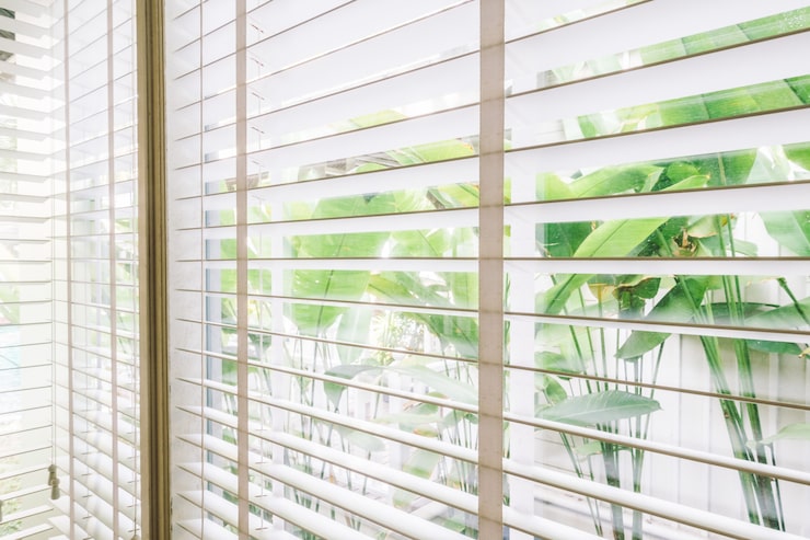 blinds-window_74190-3706